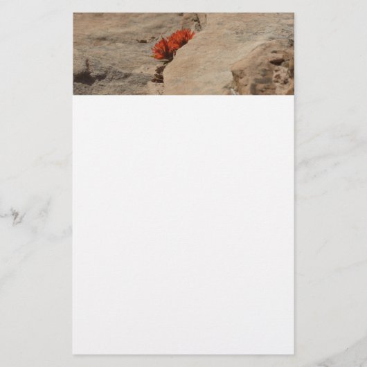 Papeterie Pinceau indien en roche à Sion (Devant)