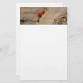 Papeterie Pinceau indien en roche à Sion (Devant / Derrière)