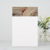 Papeterie Pinceau indien en roche à Sion (Debout devant)