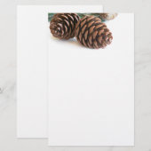 Papeterie Pine branch and cones (Devant / Derrière)
