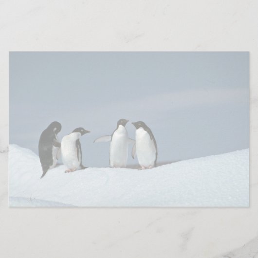 Papeterie Pingouins d'Adelite, Antarctique (Devant)