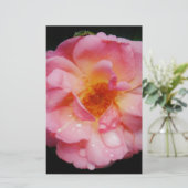 Papeterie Pink Rose w/ Dew Drops Black Background (Debout devant)