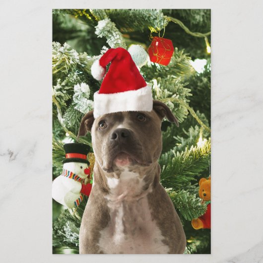 Papeterie Pitbull Chien Arbre de Noël Ornements Snowman (Devant)