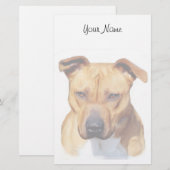 Papeterie Pitbull stationnaire (Devant / Derrière)