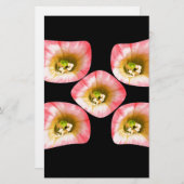 Papeterie Plaisir Floral (Devant / Derrière)