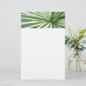 Papeterie Plante Agave Vert et blanc rayé (Debout devant)