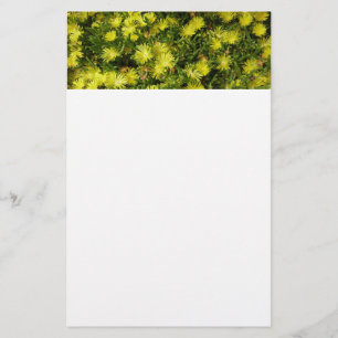 Papeterie Plante de glace dorée Fleurs jaunes