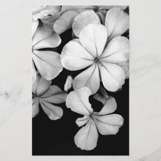 Papeterie Plumbago noir et blanc (Devant)