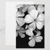 Papeterie Plumbago noir et blanc (Devant / Derrière)