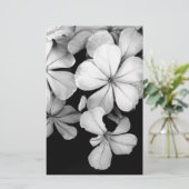 Papeterie Plumbago noir et blanc (Debout devant)