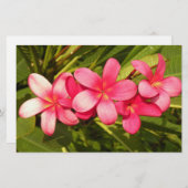 Papeterie Plumeria (Devant / Derrière)