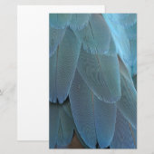 Papeterie Plumes bleues (Devant / Derrière)