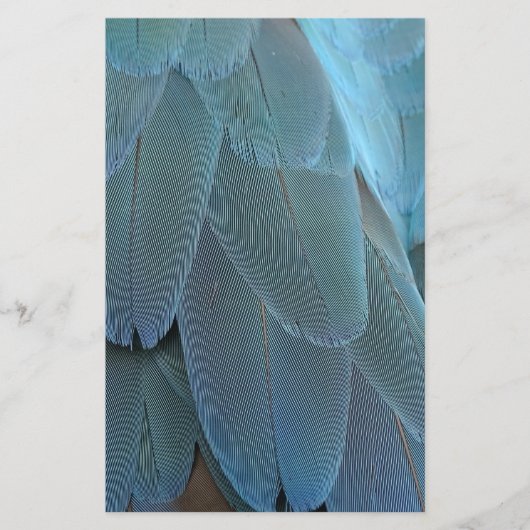Papeterie Plumes bleues (Devant)