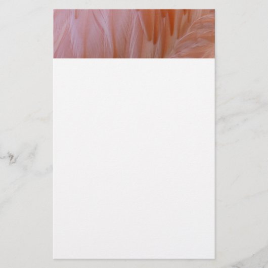 Papeterie Plumes de Flamant rose dans les tons roses (Devant)