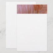 Papeterie Plumes de Flamant rose dans les tons roses (Devant / Derrière)