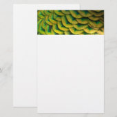 Papeterie Plumes de paon II Nature colorée (Devant / Derrière)