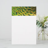 Papeterie Plumes de paon II Nature colorée (Debout devant)