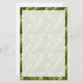 Papeterie Pochettes ; Pickle (Devant / Derrière)