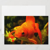 Papeterie Poisson doré (Devant / Derrière)