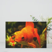 Papeterie Poisson doré (Debout devant)