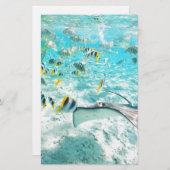 Papeterie Poissons tropicaux (Devant / Derrière)