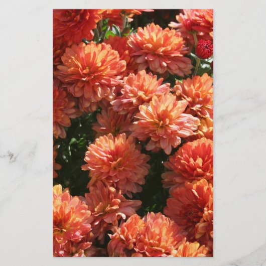 Papeterie Poppies I (Devant)