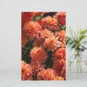 Papeterie Poppies I (Debout devant)