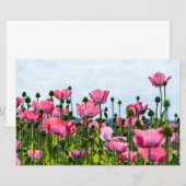 Papeterie Poppies roses (Devant / Derrière)