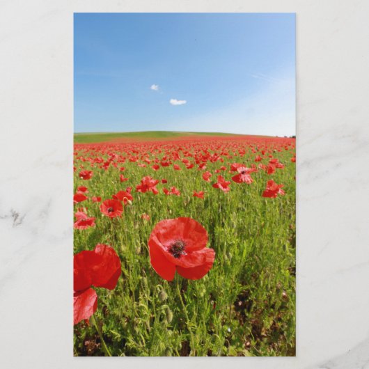 Papeterie Poppy field (Devant)