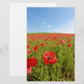Papeterie Poppy field (Devant / Derrière)