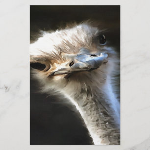 Papeterie Portrait Artistique Ostrich Avec Expression Goofy