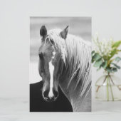Papeterie Portrait du cheval BW (Debout devant)