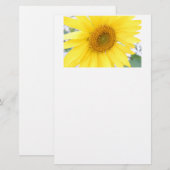 Papeterie Portrait d'une tournesol (Devant / Derrière)
