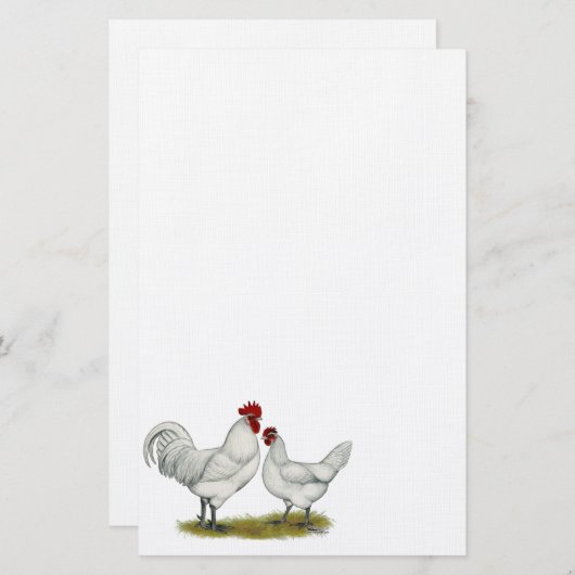 Papeterie Poulets bleus de pied (Devant / Derrière)