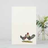 Papeterie Poulets crèmes de Legbar (Debout devant)