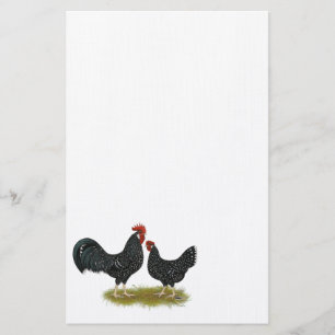 Papeterie Poulets d'Ancona