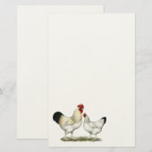 Papeterie Poulets de la rivière Indian (Devant / Derrière)