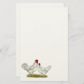 Papeterie Poulets de Lamona (Devant / Derrière)