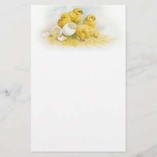 Papeterie Poulets vintages de bébé