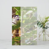 Papeterie pour singe d'écureuil (Debout devant)