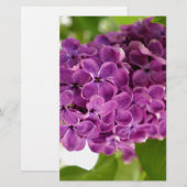Papeterie Pretty Lilac (Devant / Derrière)