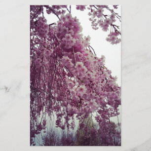 Papeterie Printemps