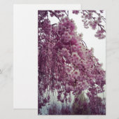 Papeterie Printemps (Devant / Derrière)