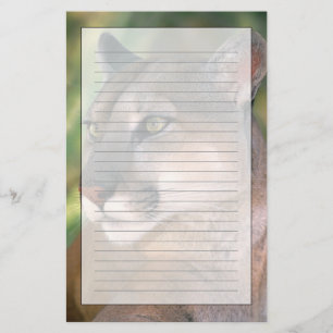 Papeterie Puma, Californie