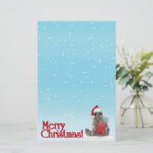 Papeterie Raccoon de Noël avec présent (Debout devant)