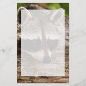Papeterie Raccoon mignon reposant sur un journal (Devant)