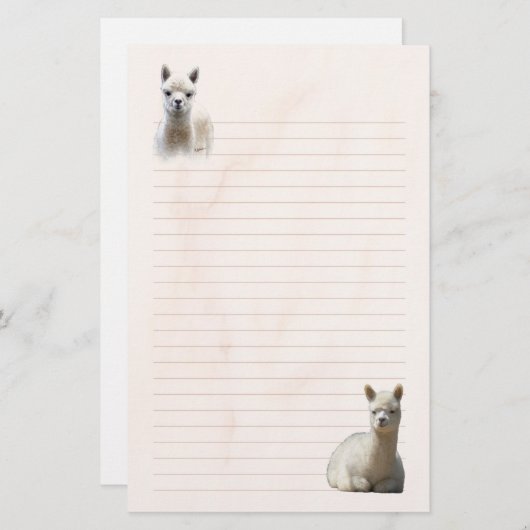 Papeterie rayée d'alpaga (Devant / Derrière)