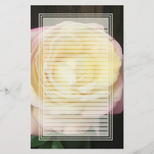 Papeterie rayée par rose de paix (Devant)