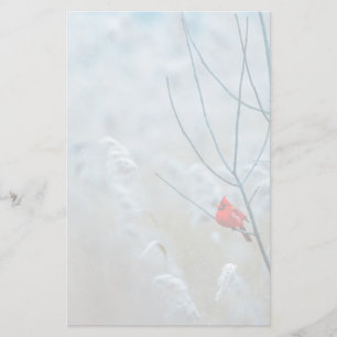 Papeterie Red Cardinal dans Winter Nature Photo de Christmas