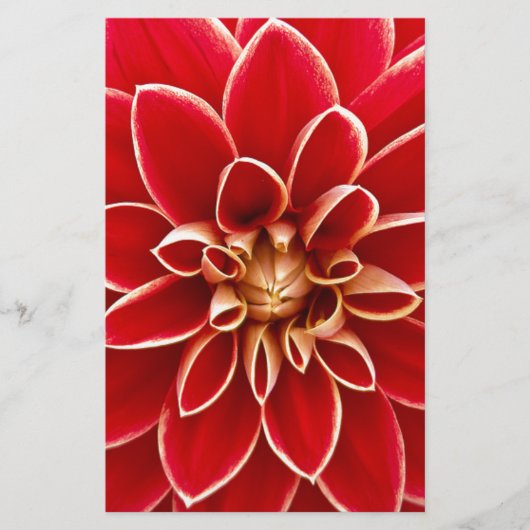 Papeterie Red Dahlia (Devant)